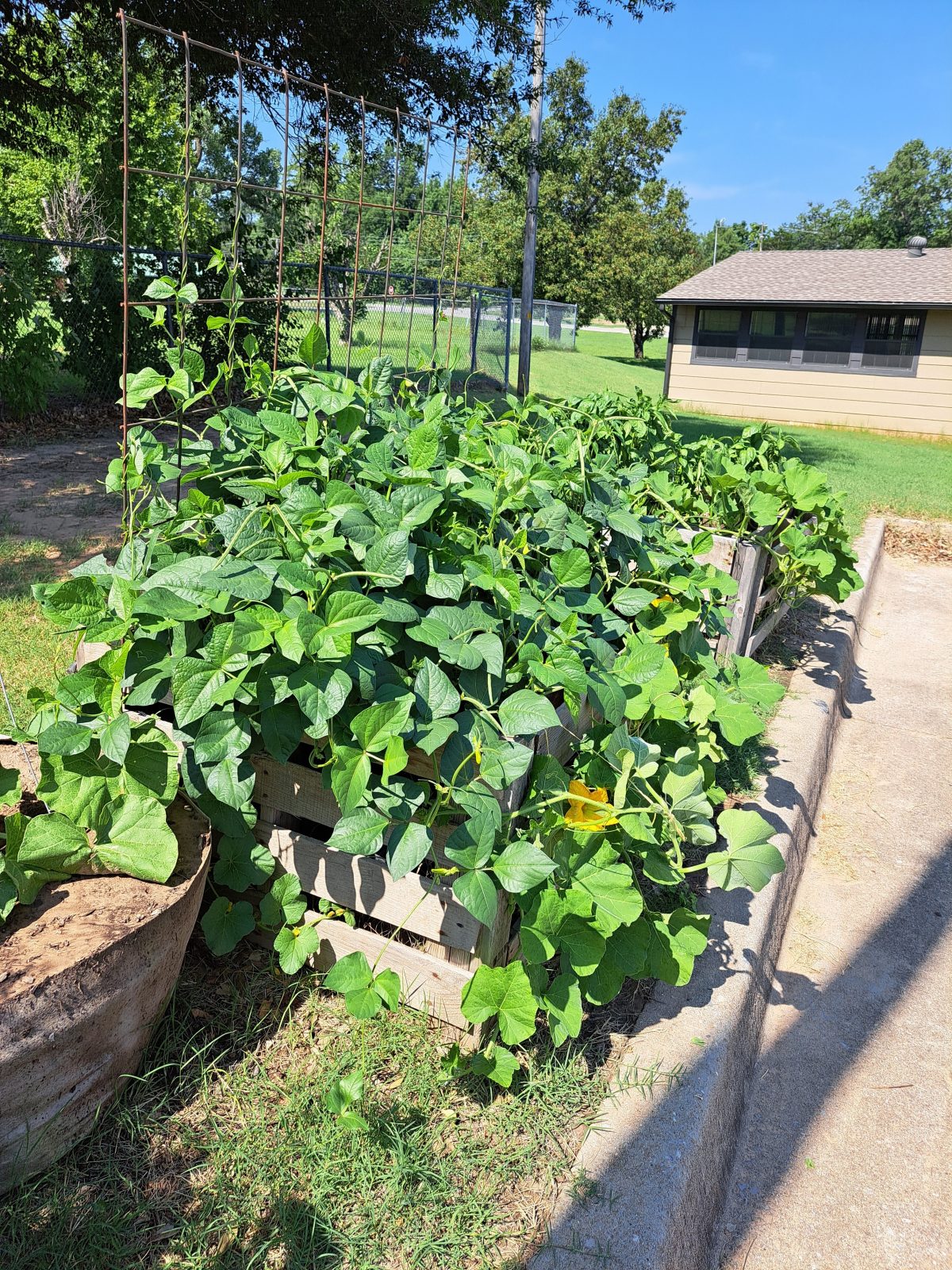 City of Park City of Park