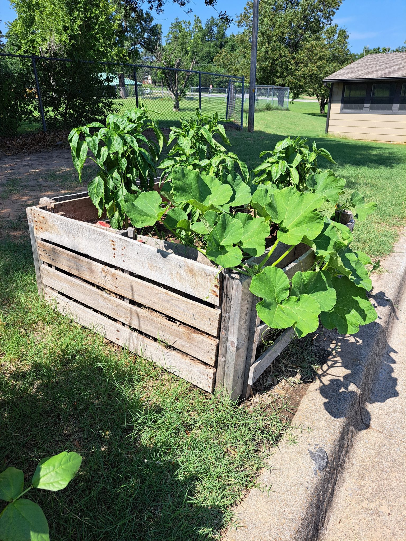 City of Park City of Park