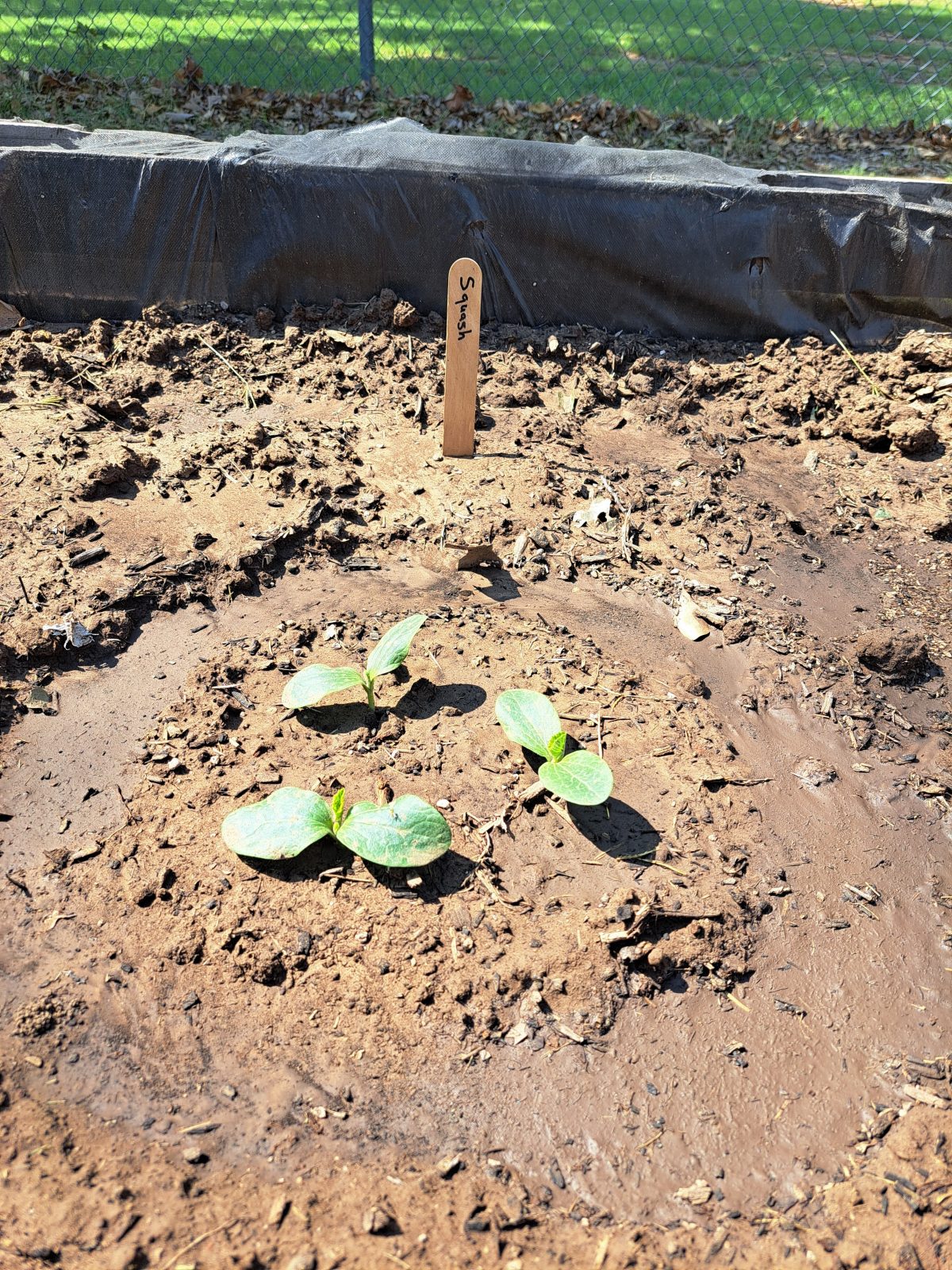 City of Park City of Park